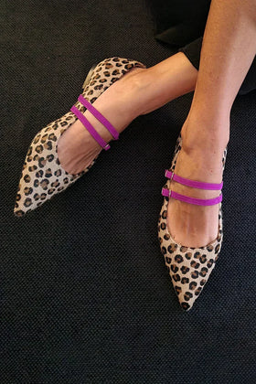 Leopard